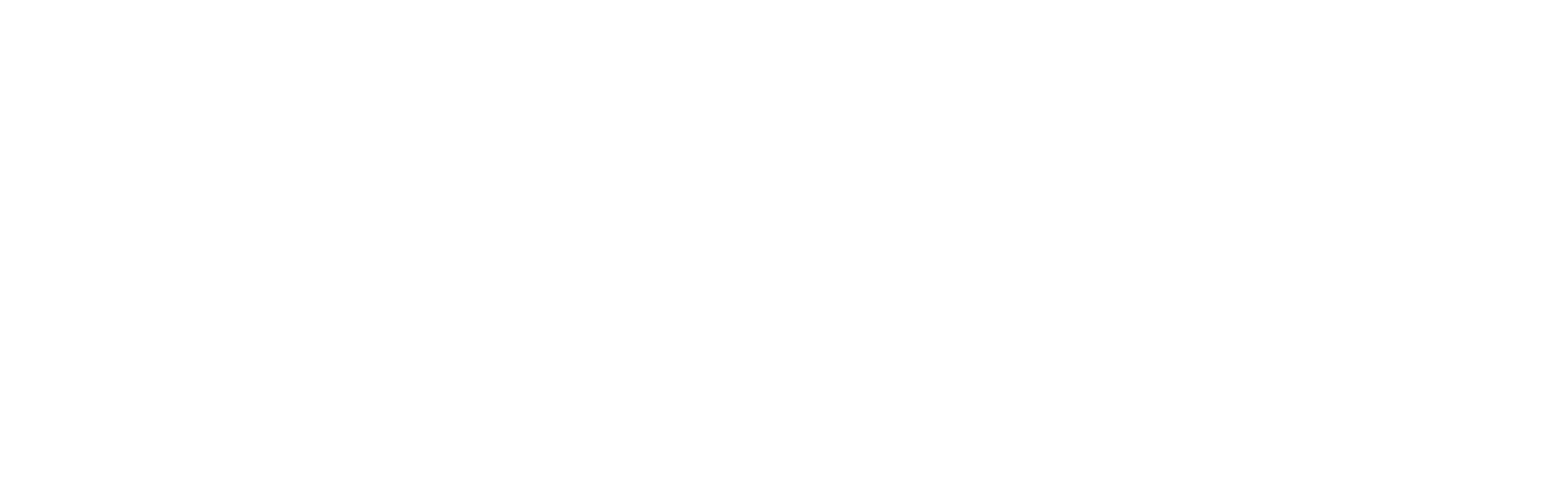 fauxpas